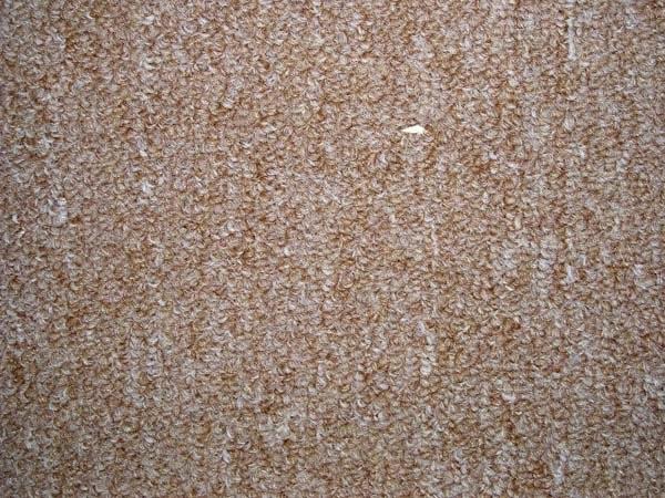 Commercial Carpet Raminate KOL 147 (12 X41) Tan 
